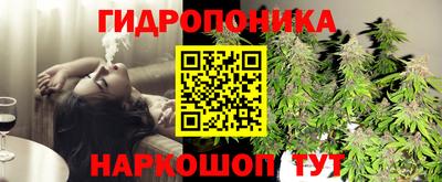 бошки Донской
