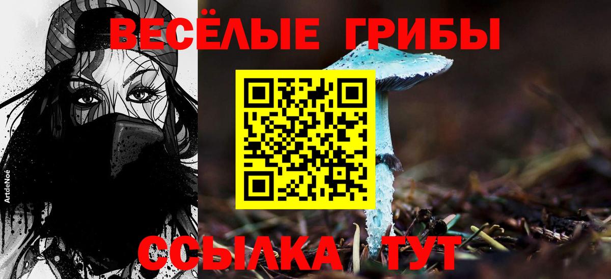 Псилоцибиновые грибы Psilocybine cubensis  Вход с VPN  Люберцы 