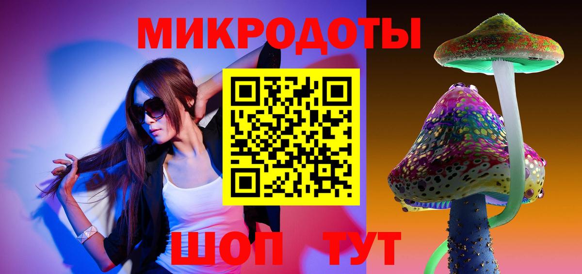 Галлюциногенные грибы Psilocybine cubensis Люберцы